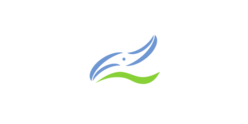 SkyWind Energy · LOGO